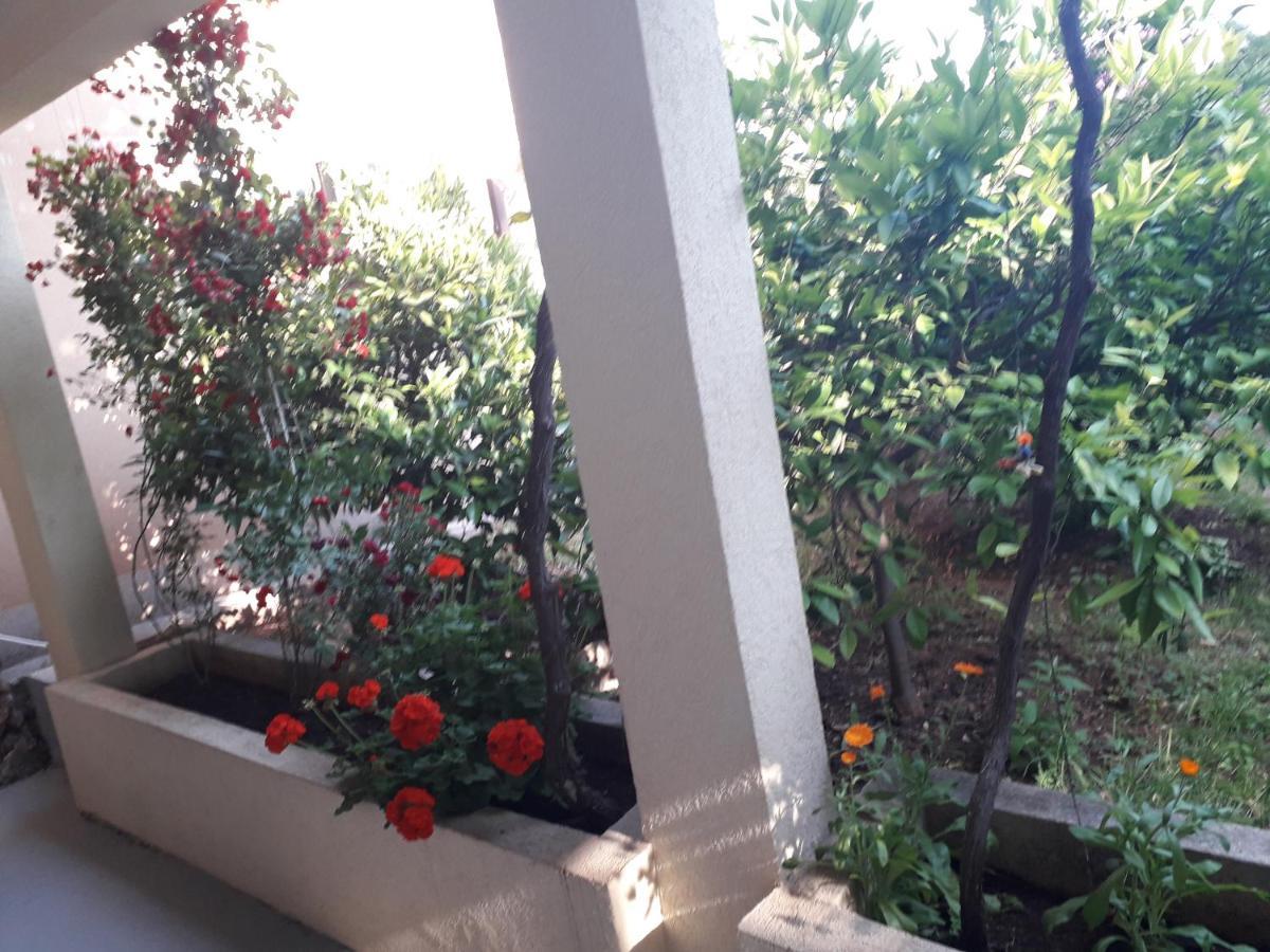 Apartments Petkovic Petrovac na moru Exterior foto