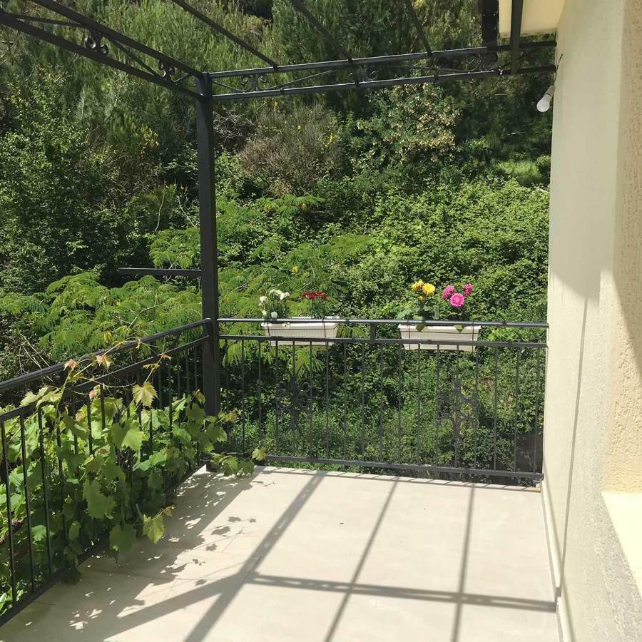 Apartments Petkovic Petrovac na moru Exterior foto